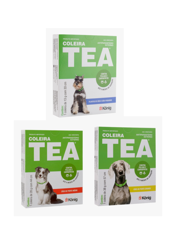 Coleira Tea Cão