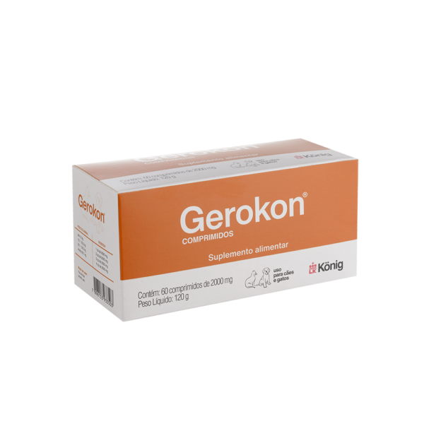 Gerokon Comprimidos